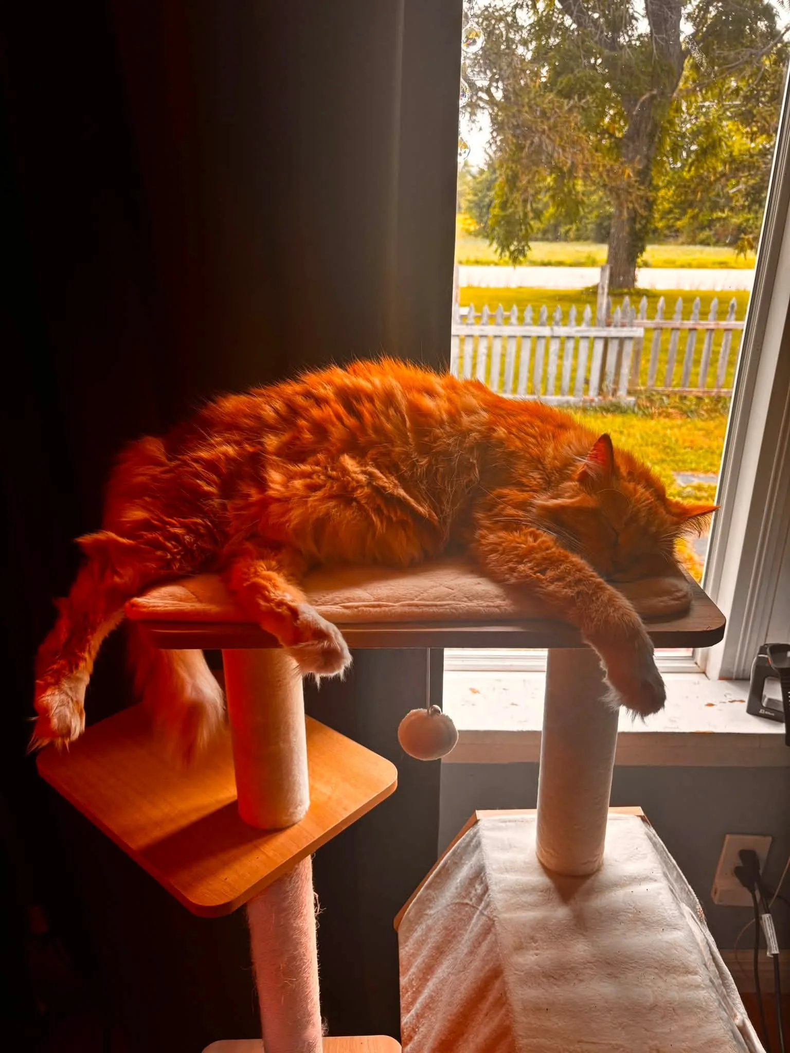 Deodorizing Treatment · Milton