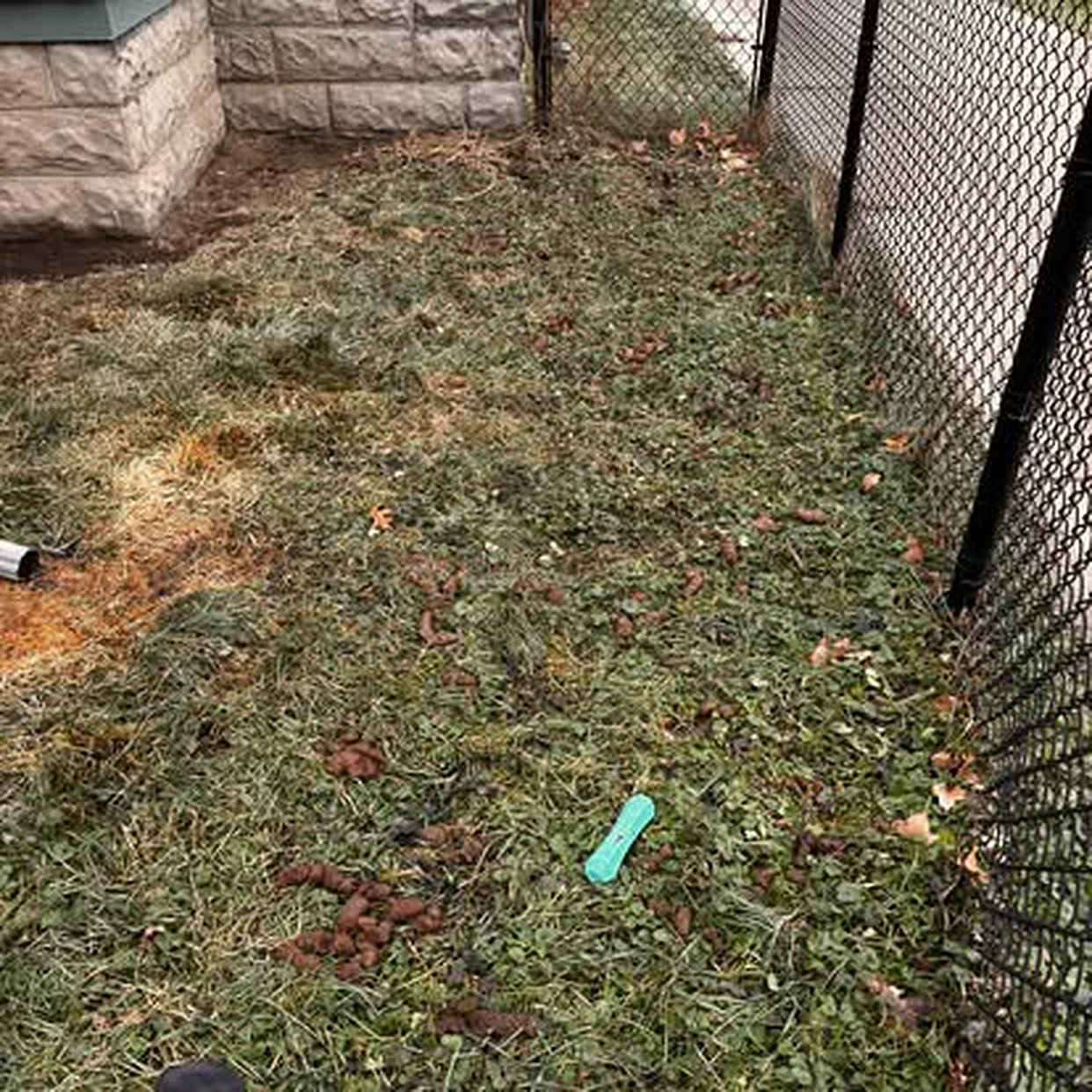 Spring & One-Time Cleanup · Beloit